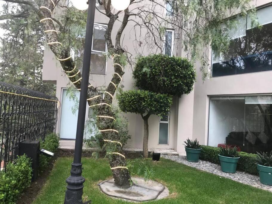 Hermoso Departamento En Bosques De Las Lomas Dos Habitaciones Mexico City Exteriör bild